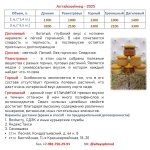 прайс_2025.jpg