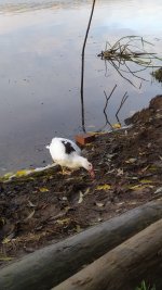 IMG_20251012_081153.jpg