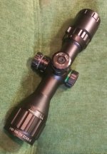 p1.jpg