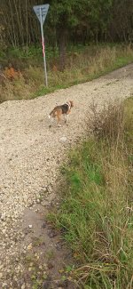 IMG_20251013_142042.jpg