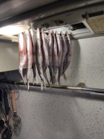 IMG_20251014_163232.jpg