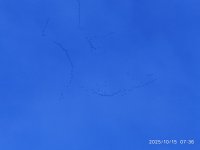 IMG_20251015_073612.jpg