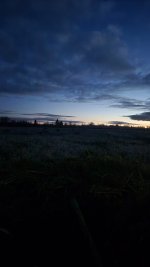 20251017_063939.jpg