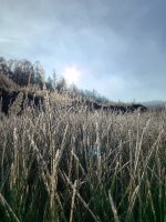 IMG_20251018_094239.jpg