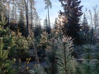IMG_20251018_100129.jpg