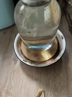IMG_7191.jpeg