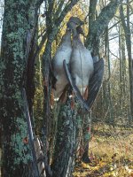 WhatsApp Image 2025-10-17 at 15.46.53.jpeg