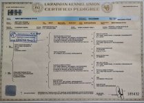 9pt1JVl-l0A4zlLIEOYpy7pbBbg24oJ6t-wQT-Dj_JT7ThRVuWvVE4dL29Wfz97MXudmQAHdBRNAVxSL4yAcPP1n (1).jpg