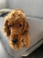 photo_2025-12-03_16-57-36 (2).jpg