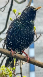 2025-04-24 17-30-11.JPG