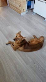 2025-04-03 18-24-34.JPG