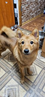 2023-12-11 19-58-37.JPG