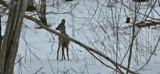 2024-01-28 15-53-11.JPG