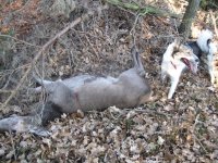 IMG_1111.jpg IMG_1111.jpg