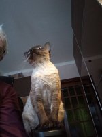 IMG_20251228_145647_7.jpg IMG_20251228_145647_7.jpg