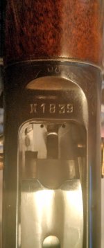 IMG_20251208_140503_HDR (1).jpg