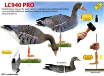 e7ee7c1440467bd8b6b7a6511db8195a_862x619.16519174041 (1).jpg