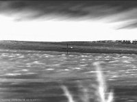 Лиса спит.jpg