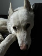 IMG_7920.jpeg IMG_7920.jpeg