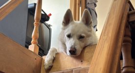 IMG_7922.jpeg IMG_7922.jpeg