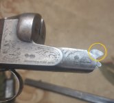 Зауер мой сбоку желт.jpg