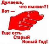 нов.год.jpg