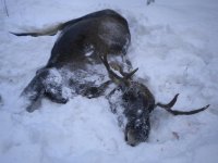 Конец сезона 2011 045.jpg Конец сезона 2011 045.jpg