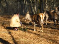 IMG_0953.jpg IMG_0953.jpg