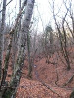 IMG_1021.jpg IMG_1021.jpg