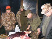 IMG_8647.JPG IMG_8647.JPG