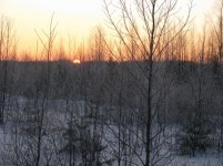 IMG_1459.jpg IMG_1459.jpg