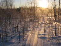 IMG_1469.jpg IMG_1469.jpg
