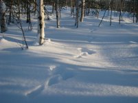 IMG_1490.jpg IMG_1490.jpg