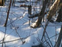 IMG_0496.jpg IMG_0496.jpg