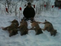 IMG_0508.jpg IMG_0508.jpg