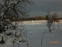 CIMG0849.jpg CIMG0849.jpg