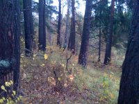 IMG_0531.jpg IMG_0531.jpg