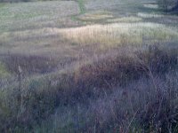 IMG_0538.jpg IMG_0538.jpg