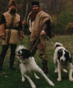 Bulgarian Shepherd Dogs.JPG