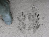 IMG_0034.jpg IMG_0034.jpg