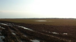 DSC_0038.jpg DSC_0038.jpg