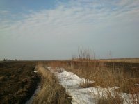 DSC_0042.jpg DSC_0042.jpg