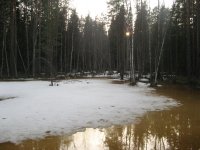 IMG_0008.jpg IMG_0008.jpg
