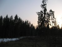 IMG_0013.jpg IMG_0013.jpg