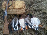 Весна 2011 002.jpg Весна 2011 002.jpg
