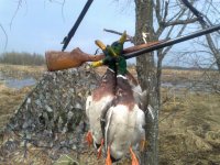 Весна 2011 003.jpg Весна 2011 003.jpg