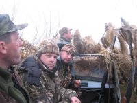 IMG_4934.jpg IMG_4934.jpg