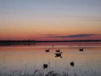 IMG_4967.jpg IMG_4967.jpg