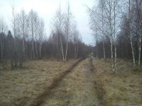 DSC00100.jpg DSC00100.jpg