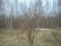 DSC00105.jpg DSC00105.jpg